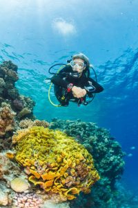 a scuba diver