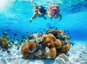 2 snorkelers