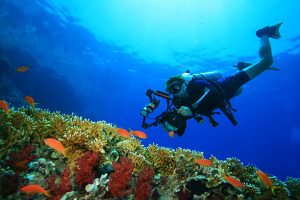an underwater photographer