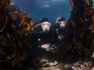 a female scuba diver with her dive buddy underwater