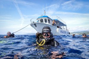 scuba diving jobs