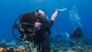 two scuba divers