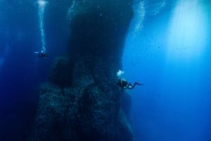 Dive Buddy Separation
