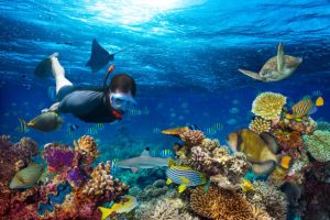 snorkeling