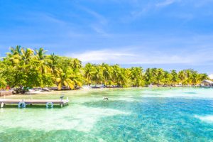 costa rica where you can dive with orcas