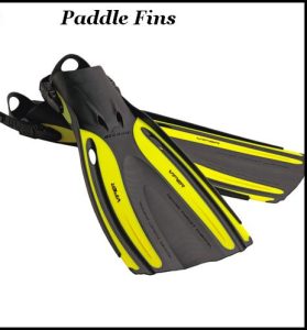 paddle fins