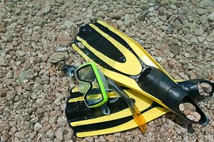 two bladed fins