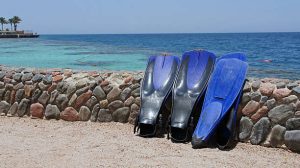 choosing freediving fins