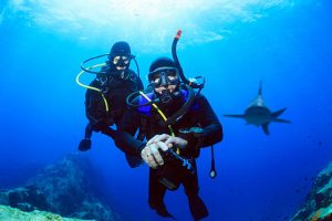 scuba diving with sharks