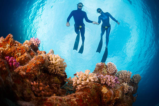 scuba diving requirements