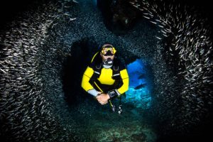 a scuba diver among schools of fish
