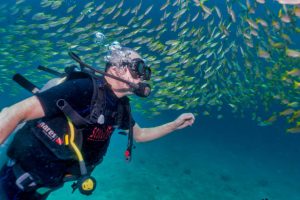 a senior scuba diver with a group of fish