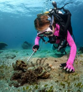 a girl scuba diver