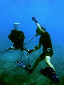 a diver with a shorty wetsuit underwater
