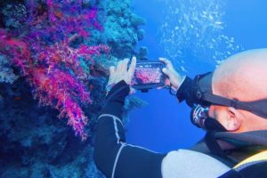 scuba diving with your phone
