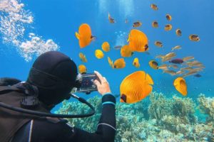 a scuba diver having a smartphone with a case underwater