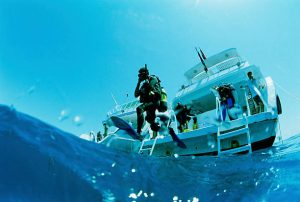 8 Features to seek on a dive boat