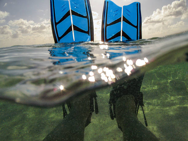 Split fins