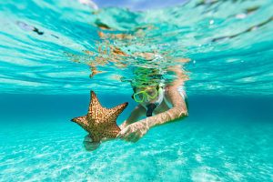 Things You Will Discover While Snorkeling