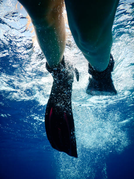 scuba fins
