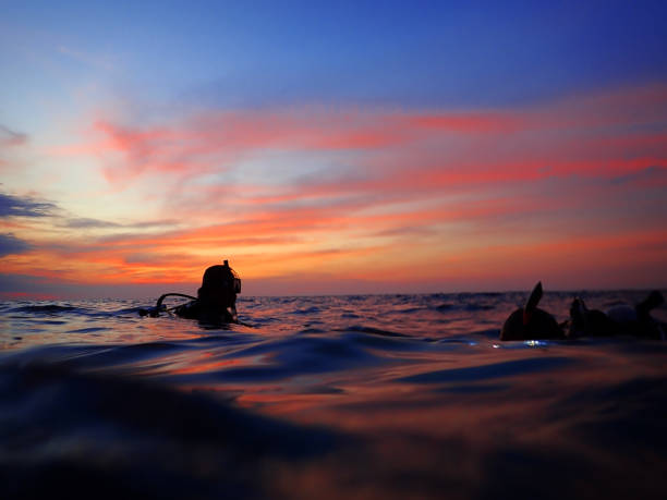 night diving