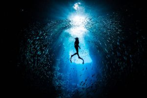 a diver underwater