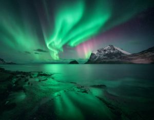 What is Bioluminescence?