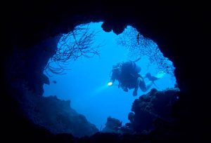 a night diver