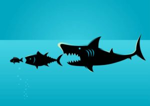 Marine food chain