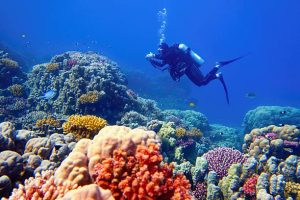 A fantastic dive destination