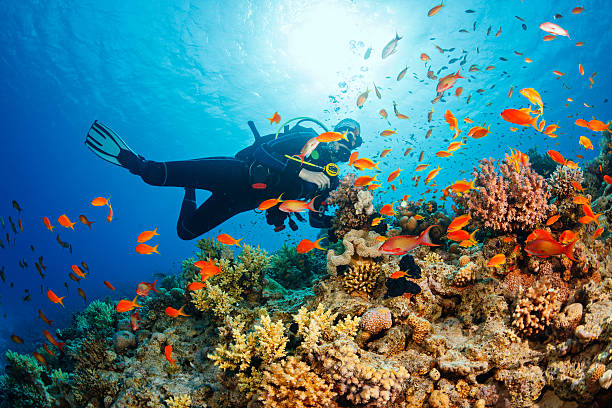 The Impacts of Weather on Diving Conditions