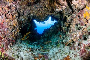 Egypt's blue hole