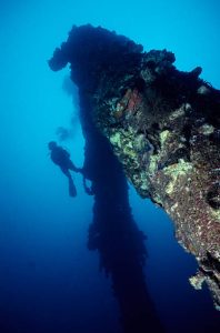 The Real Impact of Man-Made Reefs