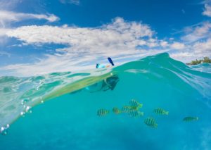 A snorkelee