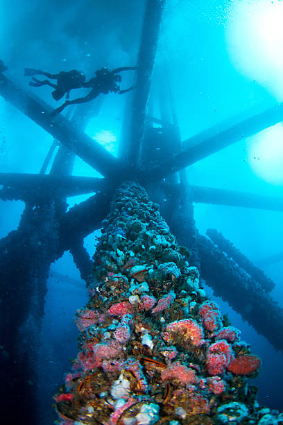Artificial reef