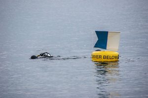 A scuba diver besides a surface marker buoy