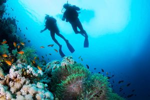 2 scuba divers underwater