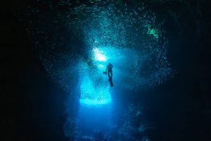 A freediver underwater