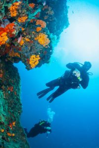 Smart Steps for New Open Water Divers