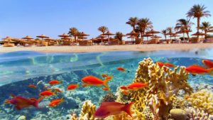 Red Sea facts