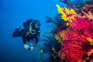 How to avoid looking like a new diver