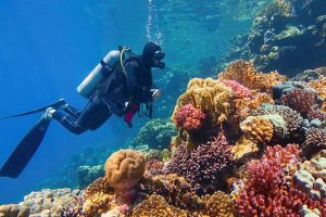A scuba diver wearing a scuba tank