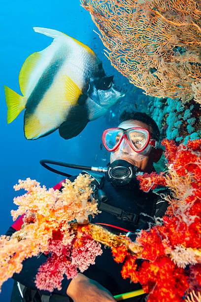 A scuba diver underwater