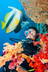 A scuba diver underwater