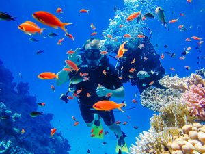 2 scuba divers underwater