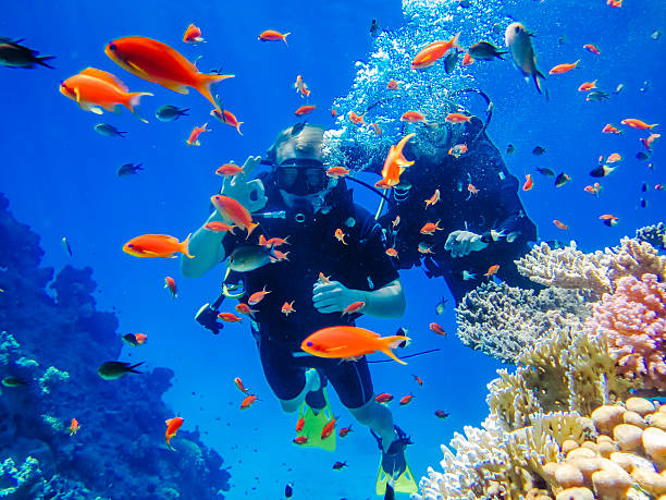 2 scuba divers underwater