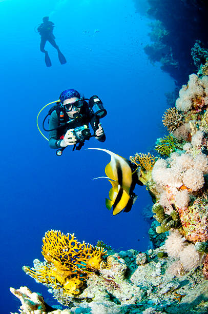 underwater photographer with his dive buddy