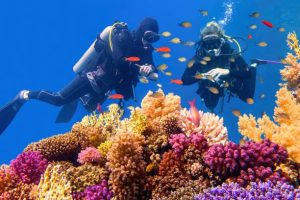 How to Dive Again After an Extended Break