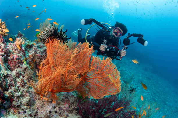 Reasons to Enroll in the Peak Performance Buoyancy Course