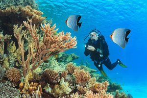 Is learning to scuba dive hard? 